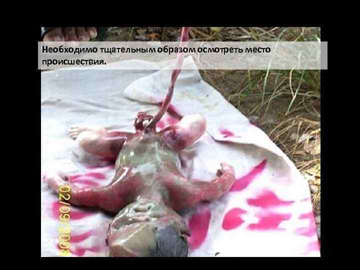 Необходимо тщательным образом осмотреть место происшествия. 