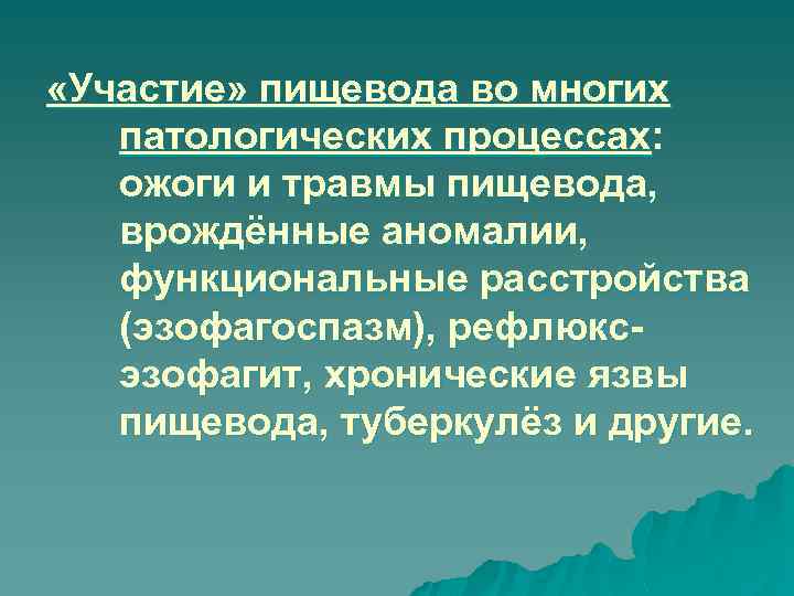  «Участие» пищевода во многих патологических процессах: ожоги и травмы пищевода, врождённые аномалии, функциональные