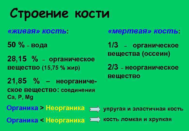 50 костей. Количество воды в живой кости. Живая кость содержит. Кость содержит а) 50 % воды.