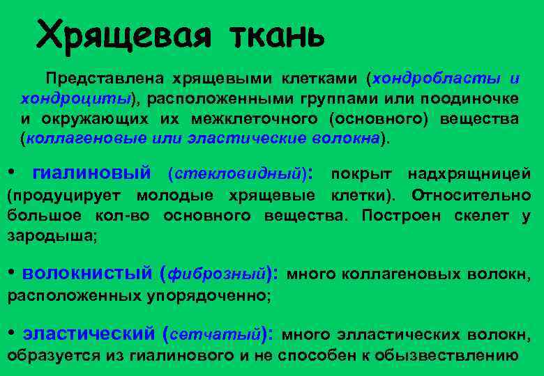 Хрящевая ткань Представлена хрящевыми клетками (хондробласты и хондроциты), расположенными группами или поодиночке и окружающих