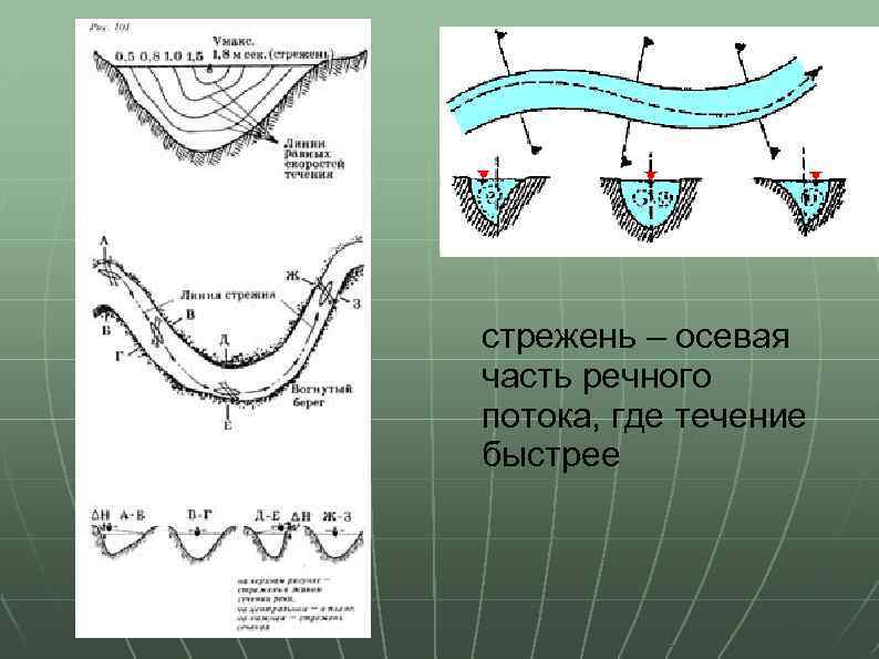 стрежень – осевая часть речного потока, где течение быстрее 