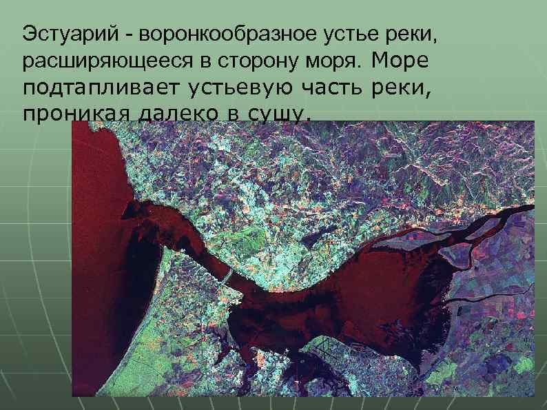 Эстуарий - воронкообразное устье реки, расширяющееся в сторону моря. Море подтапливает устьевую часть реки,