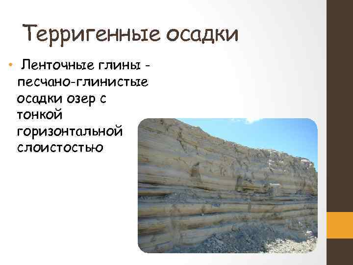 Терригенные осадки • Ленточные глины песчано-глинистые осадки озер с тонкой горизонтальной слоистостью 