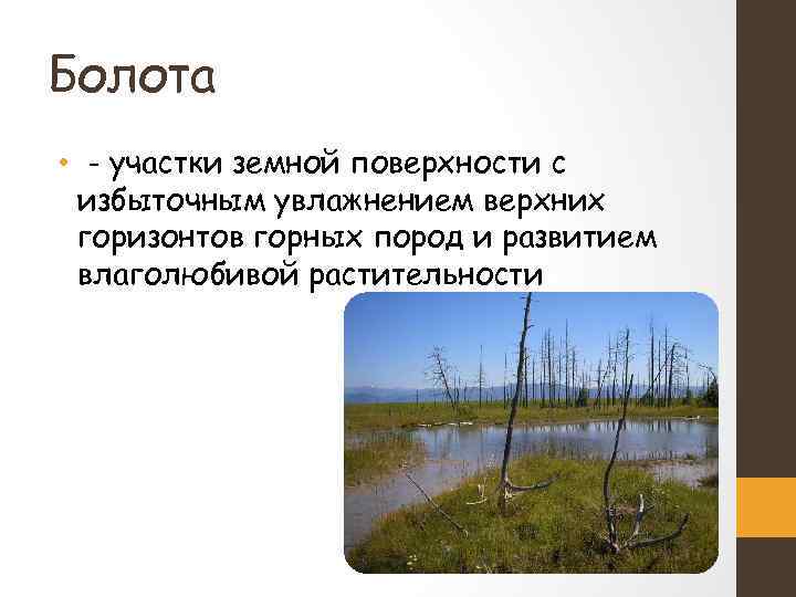 Лимнология это. Болото презентация. Деятельность озер и болот. Геологическая деятельность болот. Геологическая деятельность озер и болот.