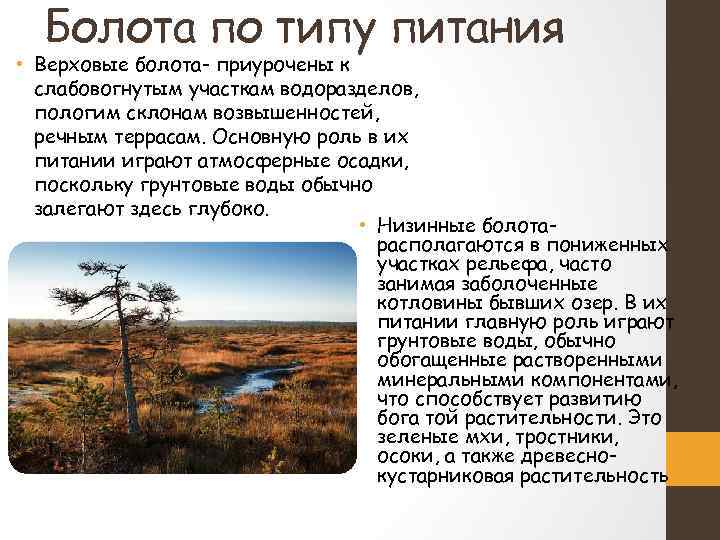 Роль озер. Типы питания болот. Болота по типу питания. Верховые болота Тип питания. Геологическая деятельность болот.