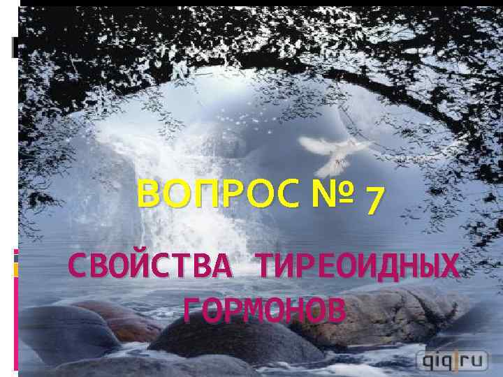 ВОПРОС № 7 СВОЙСТВА ТИРЕОИДНЫХ ГОРМОНОВ 