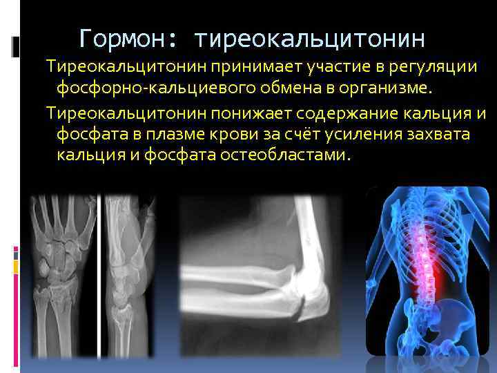 Гормон: тиреокальцитонин Тиреокальцитонин принимает участие в регуляции фосфорно кальциевого обмена в организме. Тиреокальцитонин понижает