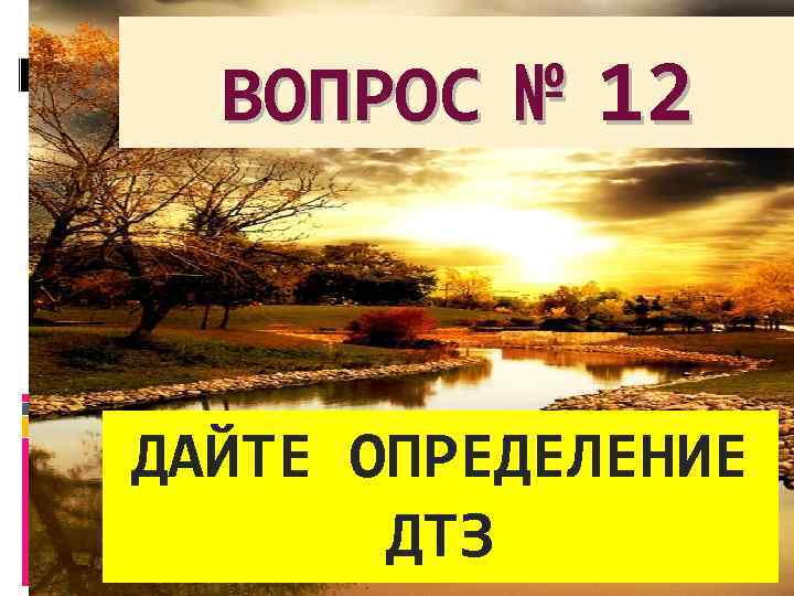 ВОПРОС № 12 ДАЙТЕ ОПРЕДЕЛЕНИЕ ДТЗ 