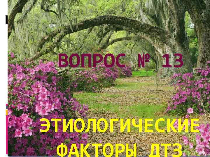 ВОПРОС № 13 ЭТИОЛОГИЧЕСКИЕ 