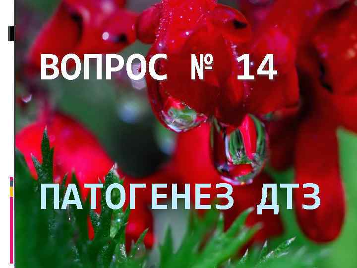 ВОПРОС № 14 ПАТОГЕНЕЗ ДТЗ 