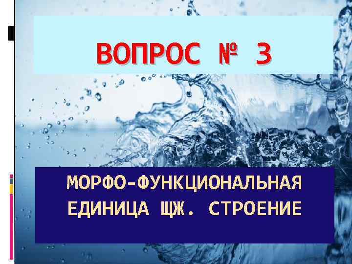 ВОПРОС № 3 МОРФО-ФУНКЦИОНАЛЬНАЯ ЕДИНИЦА ЩЖ. СТРОЕНИЕ 