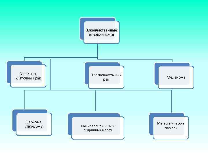 Злокачественные опухоли кожи Базально клеточный рак Саркома Лимфома Плоскоклеточный рак Рак из апокринных и