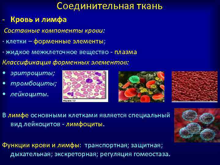 Сложные компоненты