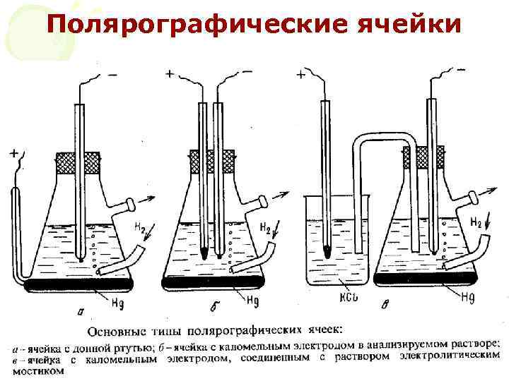Полярографические ячейки МККОС. Л. К. № 10. Попова Людмила Федоровна 41 