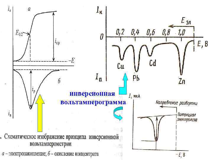 инверсионная вольтамперограмма МККОС. Л. К. № 10. Попова Людмила Федоровна 73 