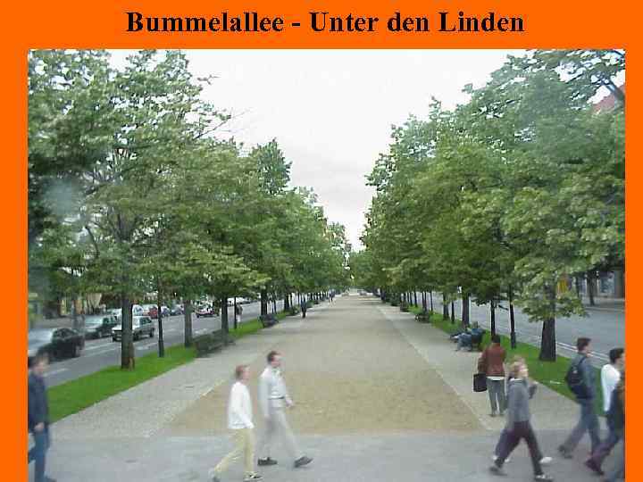 Bummelallee - Unter den Linden 