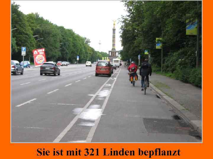 Sie ist mit 321 Linden bepflanzt 