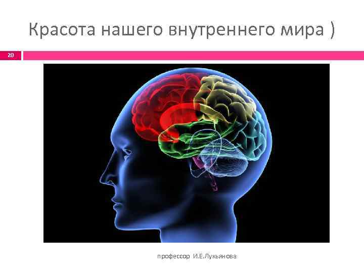 Красота нашего внутреннего мира ) 20 профессор И. Е. Лукьянова 
