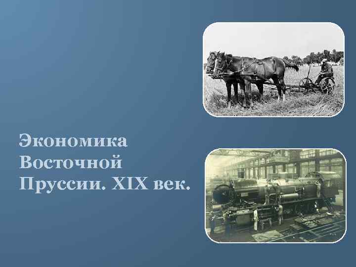 Экономика Восточной Пруссии. XIX век. 