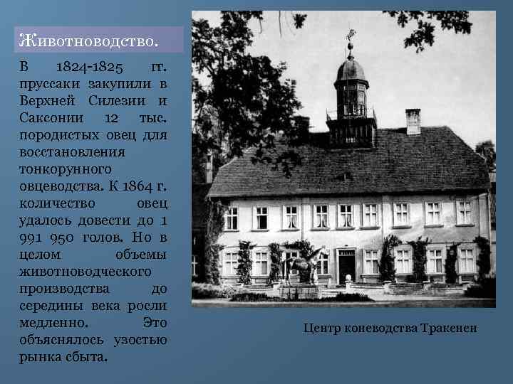 Животноводство. В 1824 1825 гг. пруссаки закупили в Верхней Силезии и Саксонии 12 тыс.