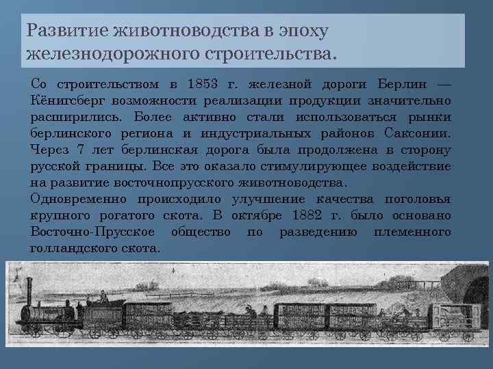 Развитие животноводства в эпоху железнодорожного строительства. Со строительством в 1853 г. железной дороги Берлин