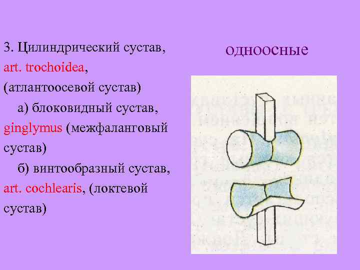 3. Цилиндрический сустав, art. trochoidea, (атлантоосевой сустав) а) блоковидный сустав, ginglymus (межфаланговый сустав) б)