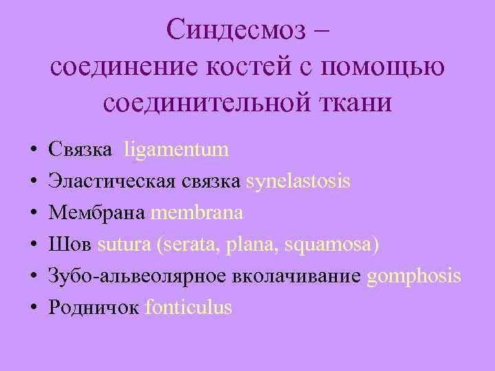 Синдесмоз – соединение костей с помощью соединительной ткани • • • Связка ligamentum Эластическая