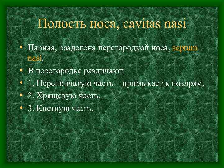 Полость носа, cavitas nasi • Парная, разделена перегородкой носа, septum • • nasi. В