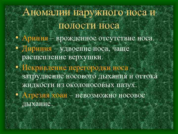 Аномалии наружного носа и полости носа • Ариния – врожденное отсутствие носа. • Дириния