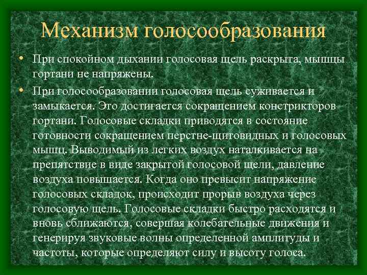 Механизм голосообразования • При спокойном дыхании голосовая щель раскрыта, мышцы гортани не напряжены. •