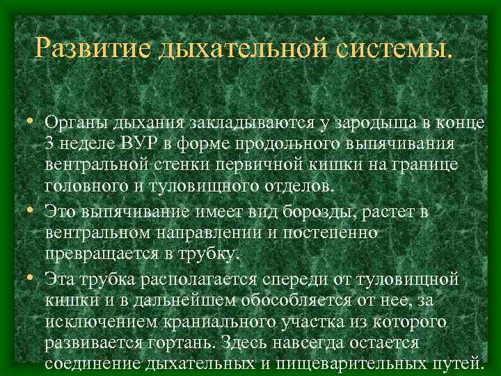 Развитие дыхательной системы. • Органы дыхания закладываются у зародыша в конце 3 неделе ВУР