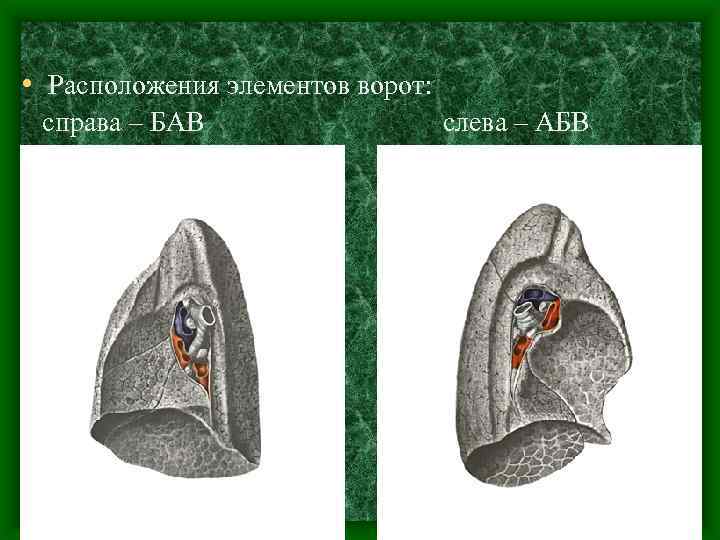  • Расположения элементов ворот: справа – БАВ слева – АБВ 