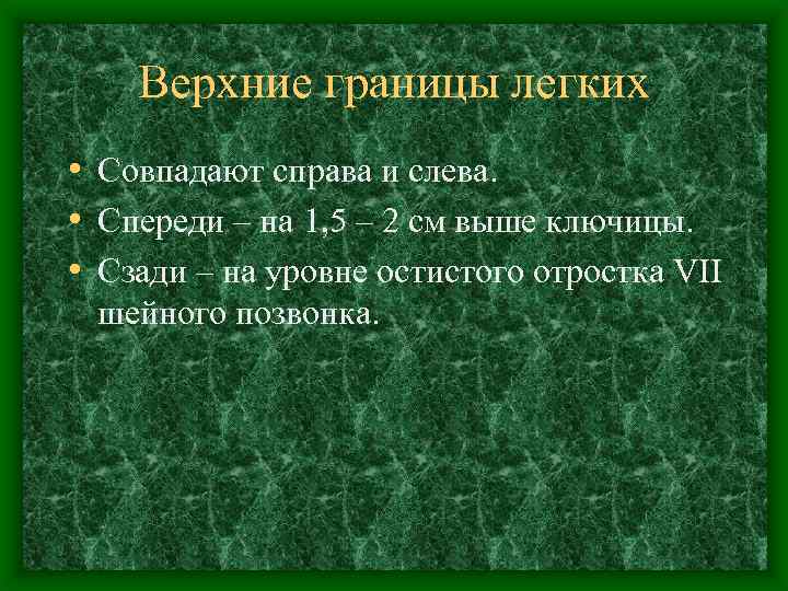 Верхние границы легких • Совпадают справа и слева. • Спереди – на 1, 5