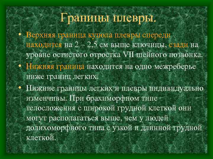 Границы плевры. • Верхняя граница купола плевры спереди находится на 2 – 2, 5
