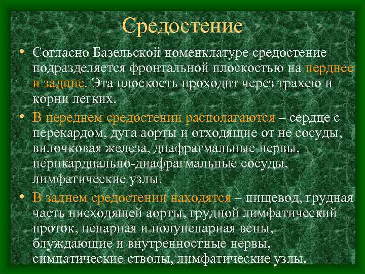 Средостение • Согласно Базельской номенклатуре средостение подразделяется фронтальной плоскостью на перднее и задние. Эта