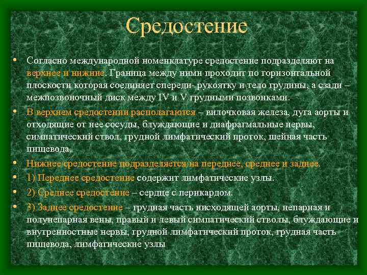 Средостение • Согласно международной номенклатуре средостение подразделяют на • • • верхнее и нижние.