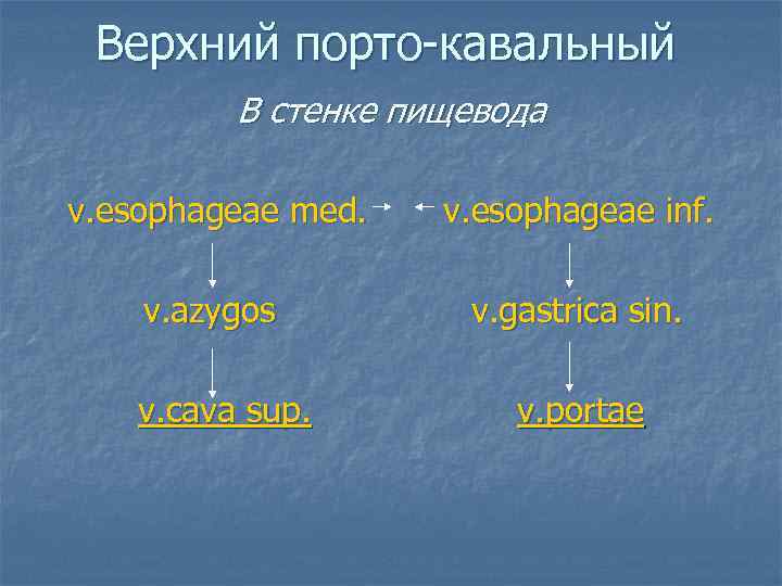 Верхний порто-кавальный В стенке пищевода v. esophageae med. v. esophageae inf. v. azygos v.