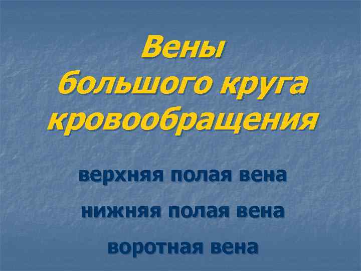 Вены большого круга кровообращения верхняя полая вена нижняя полая вена воротная вена 