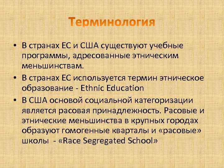  • В странах ЕС и США существуют учебные программы, адресованные этническим меньшинствам. •