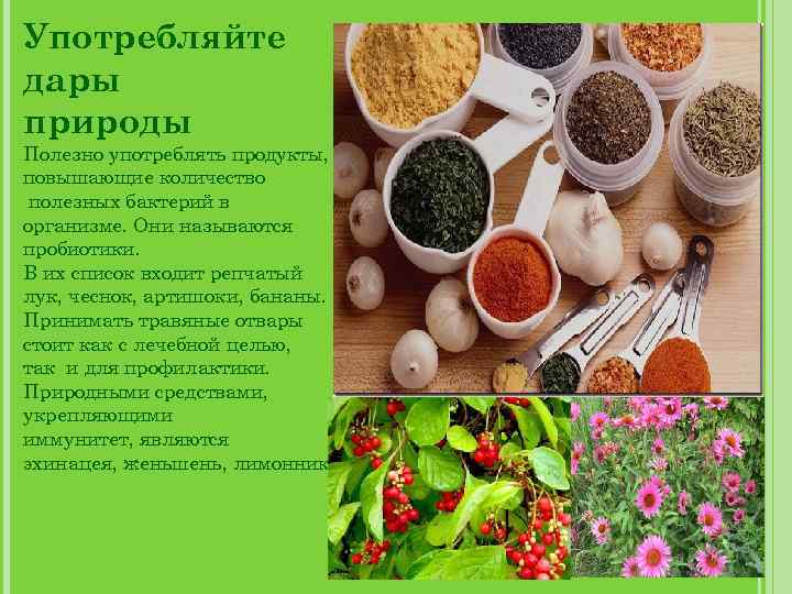 Употребляйте дары природы Полезно употреблять продукты, повышающие количество полезных бактерий в организме. Они называются