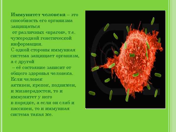 Иммунитет человека – это способность его организма защищаться от различных «врагов» , т. е.