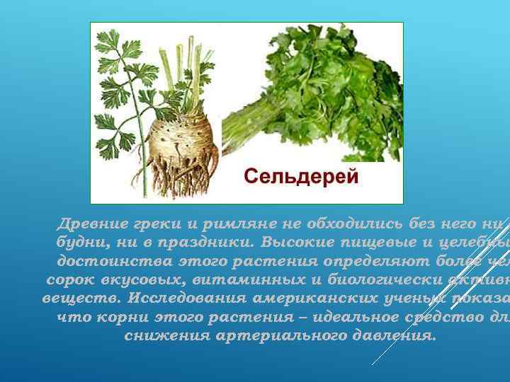 Древние греки и римляне не обходились без него ни в будни, ни в праздники.