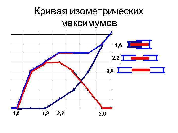 Кривая изометрических максимумов 