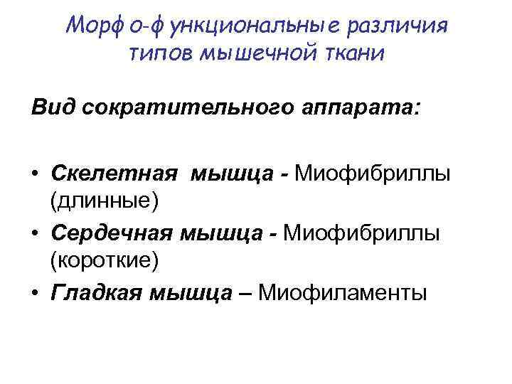 Морфо‑функциональные различия типов мышечной ткани Вид сократительного аппарата: • Скелетная мышца - Миофибриллы (длинные)