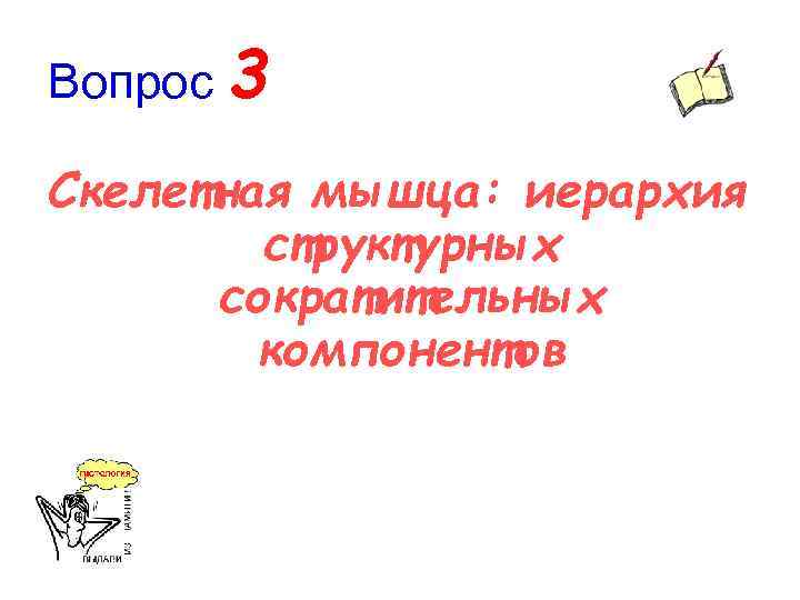 Вопрос 3 Скелетная мышца: иерархия структурных сократительных компонентов 