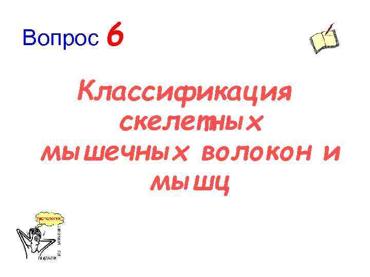 Вопрос 6 Классификация скелетных мышечных волокон и мышц 