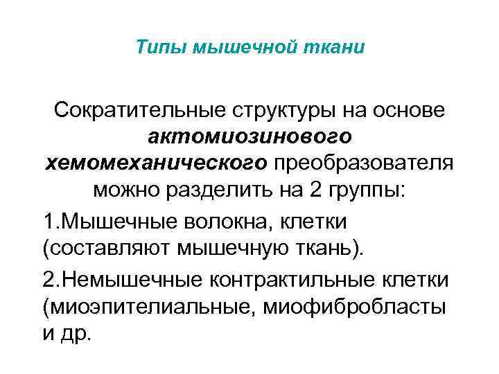 Типы мышечной ткани Сократительные структуры на основе актомиозинового хемомеханического преобразователя можно разделить на 2