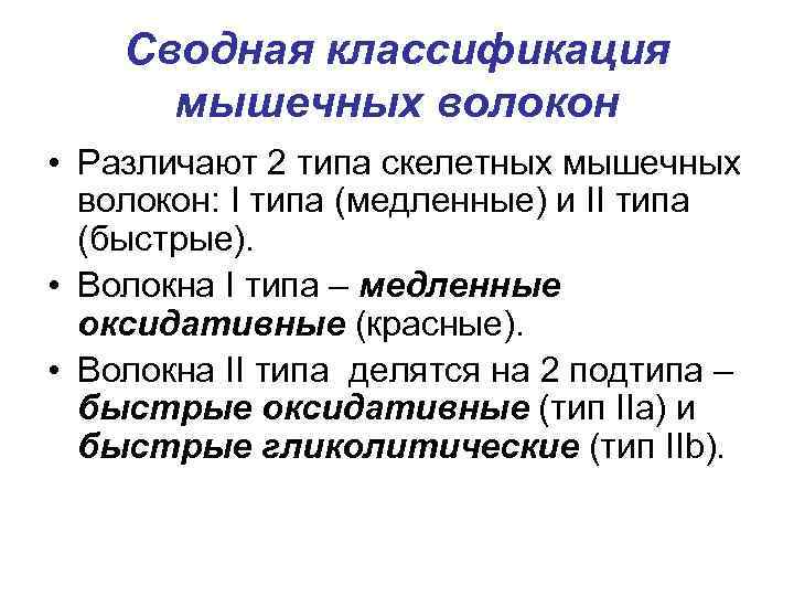 Сводная классификация мышечных волокон • Различают 2 типа скелетных мышечных волокон: I типа (медленные)