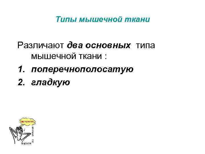 Типы мышечной ткани Различают два основных типа мышечной ткани : 1. поперечнополосатую 2. гладкую