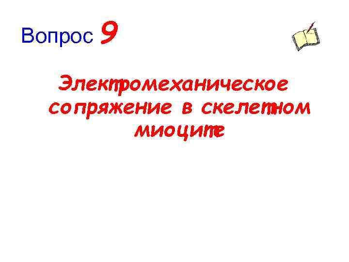 Вопрос 9 Электромеханическое сопряжение в скелетном миоците 